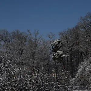 lichtenau-bertholdes-traum.com-bavaria.com/